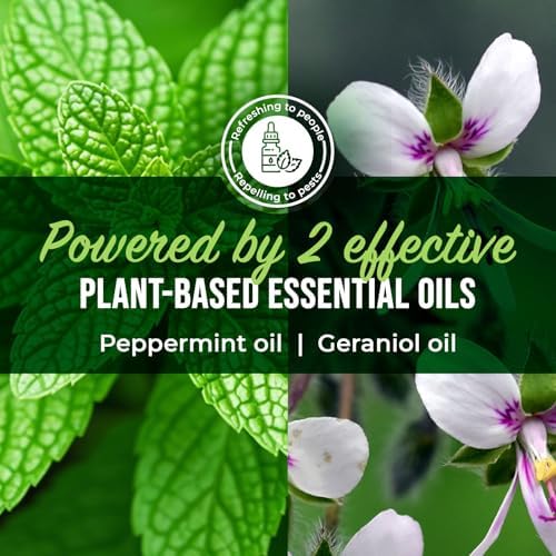 Mighty Mint Peppermint Oil Roach Repellent Spray, 16 oz