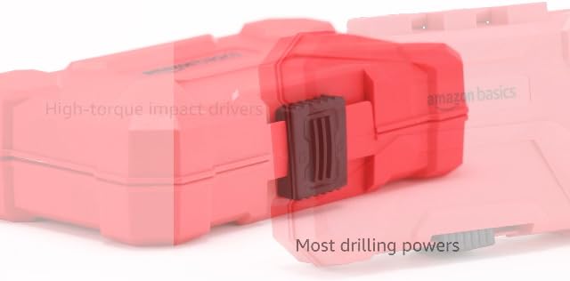 Amazon Basics 42-Piece Impact Screwdriver Bit Set with Phillips, Slotted and Torx Bits, Portable Storage Case