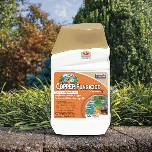 Bonide Captain Jack Copper Fungicide 16 oz Concentrated Plant Disease Control Solution for Organic Gardening