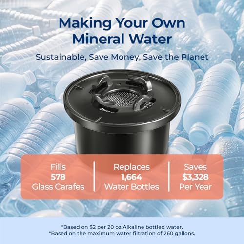 Bluevua Official Dual-Pack Remineralization Filters, One-Year Set