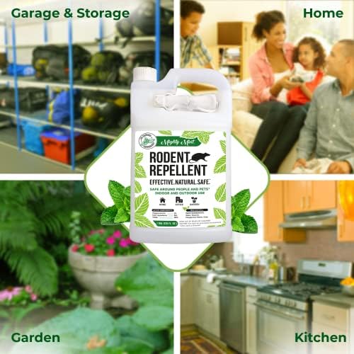 Mighty Mint Peppermint Oil Rodent Repellent Spray, 1 Gallon (128 oz)