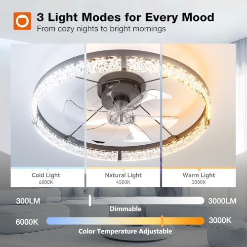 addlon 24" Ceiling Fans with Lights and Remote, Low Profile Fandelier