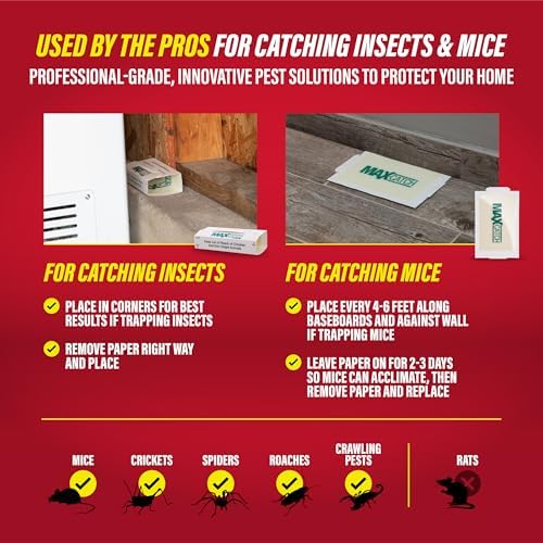 Catchmaster Max-Catch Unscented Glue Traps 72pk, Sticky Mouse Traps Indoor