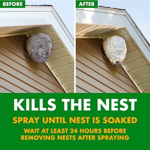 Spectracide Foaming Wasp & Hornet Killer 14 Oz, Kills by Contact
