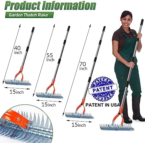 Walensee 15-Inch Thatch Rake for Lawn, 19-Tine Dethatcher, 70-Inch Handle