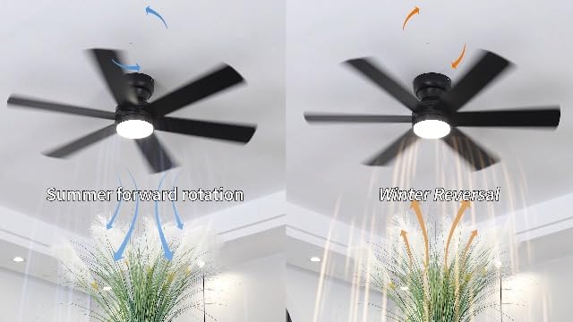 Asyko 46"Black 6-Blade Modern Low Profile Ceiling Fan with Light and Remote