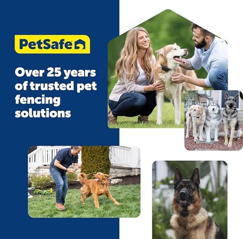 PetSafe RFA-67 6V Replacement Battery, 6-Pack | Genuine RFA-67 6V Lithium Batteries, Each Lasts 1-3 Months