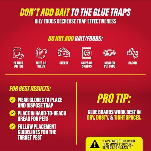 Catchmaster Max-Catch Unscented Glue Traps 72pk, Sticky Mouse Traps Indoor