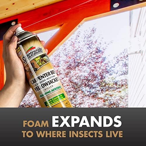 Spectracide Carpenter Bee & Gound-Nesting Yellowjacket Killer 16 Oz, 3 Pack