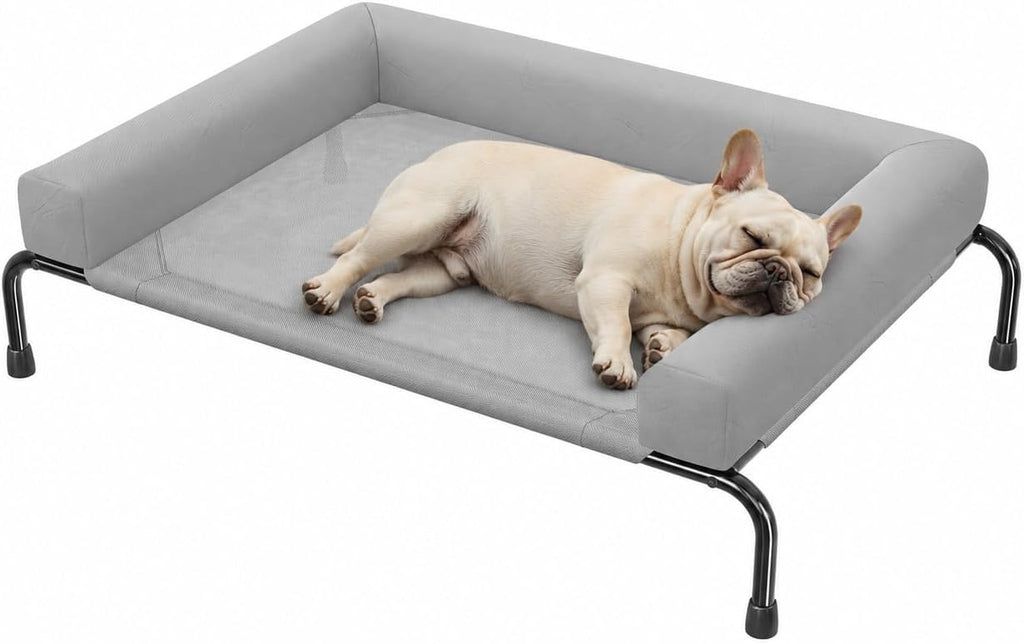 Simple Trending Elevated Dog Bed for Large Dogs with Bolsters, Black