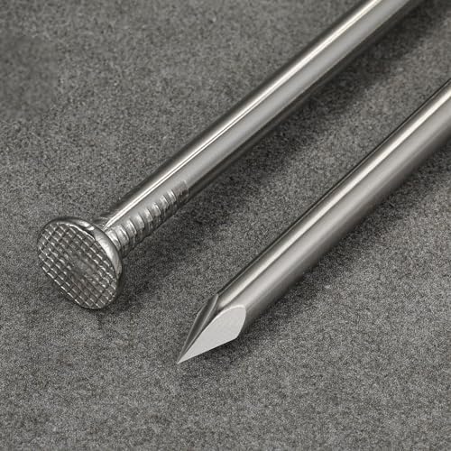Wensilon Stainless Steel 304 Nails Kit,nail for hanging pictures 430pcs