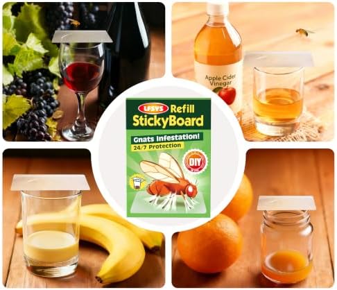 LFSYS Fruit Fly Traps for Indoors – 25 Pack DIY Cup Cover Adhesive Cards for Fruit Fly – Clear, Mess-Free, Indoor Use
