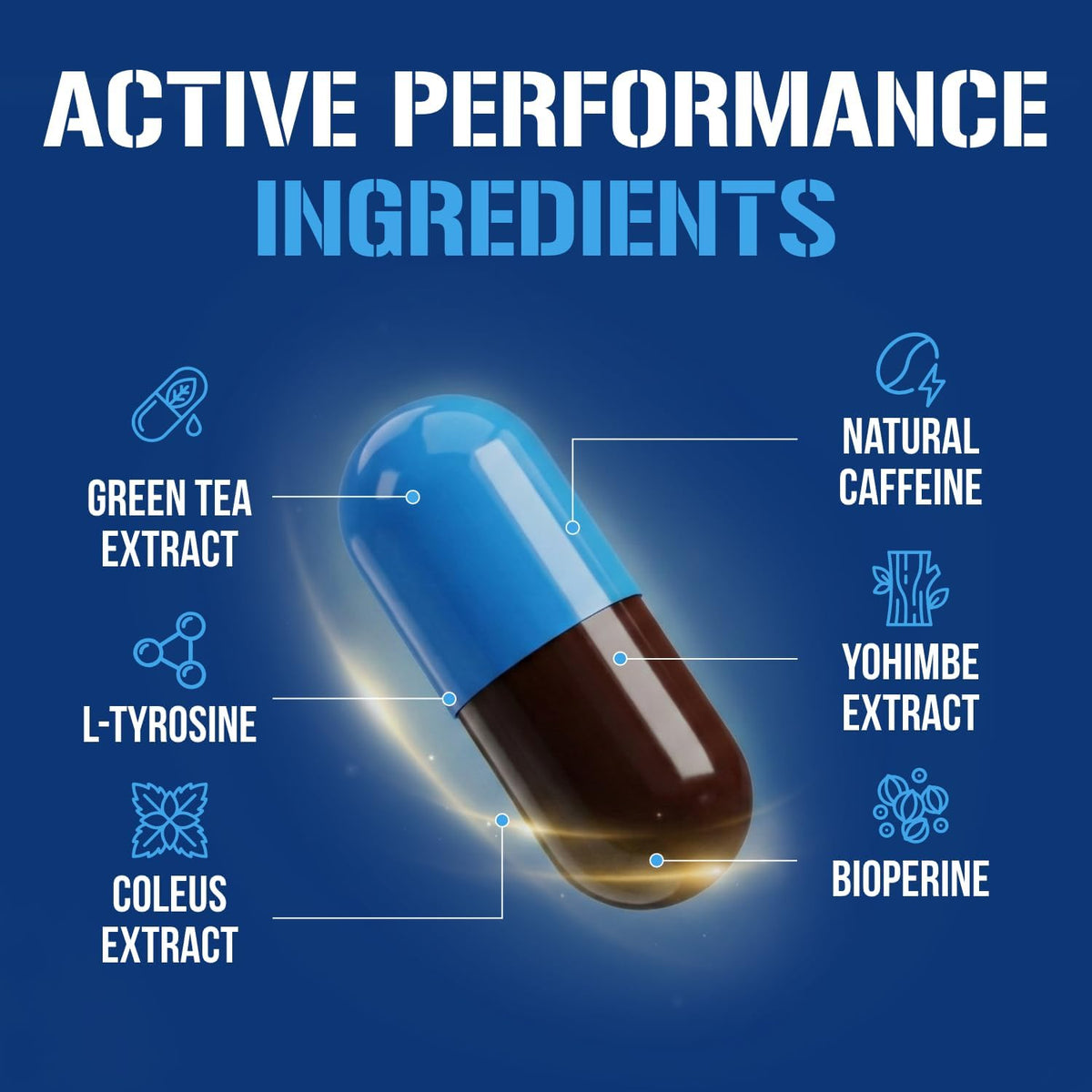 EVL Trans4orm - Thermogenic Fat Burner Support for Men & Women- 60 Servings