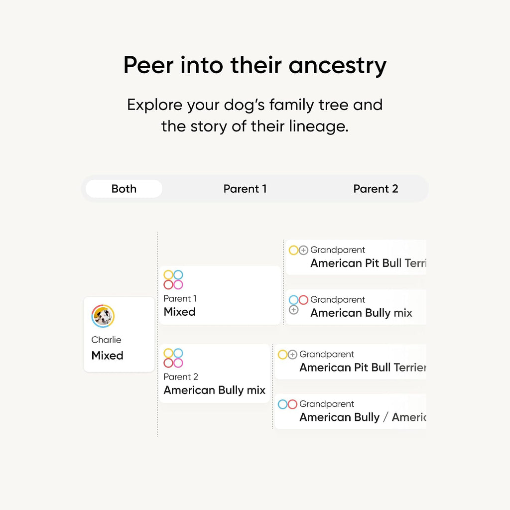Embark Breed ID Dog DNA Test Kit – 400+ Breeds, 99% Breed Accuracy | Dog DNA testing kit for mixed breeds. Ancestry to great-grandparents, relative finder & family tree. Largest dog database.