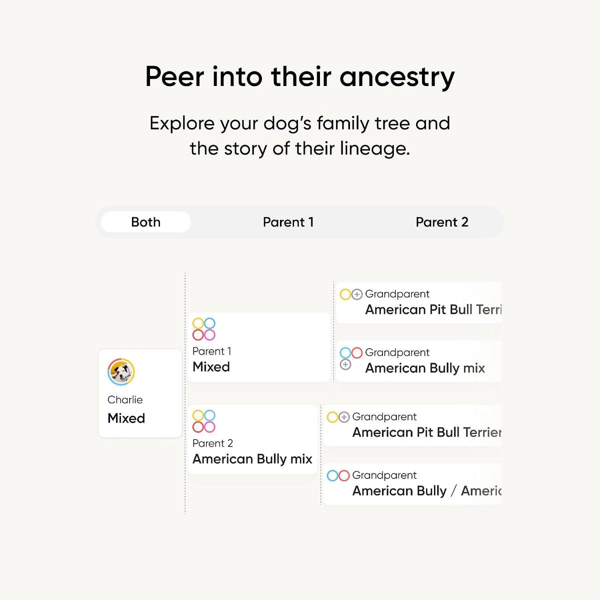 Embark Breed ID Dog DNA Test Kit – 400+ Breeds, 99% Breed Accuracy | Dog DNA testing kit for mixed breeds. Ancestry to great-grandparents, relative finder & family tree. Largest dog database.