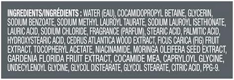 Dove Men Moisturizing Body Wash for Men, Fig + Cedarwood, 26 oz