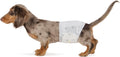 Amazon Basics Super Absorbent Male Dog Diapers, Leak-Proof Disposable Wrap with Wetness Indicator, Secure Fit, Breathable, X-Small, 30 Count