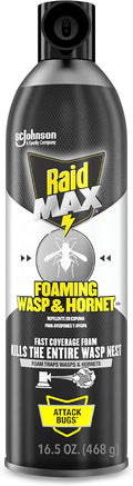 Raid MAX Foaming Wasp & Hornet Killer Bug Spray, 16.5 oz