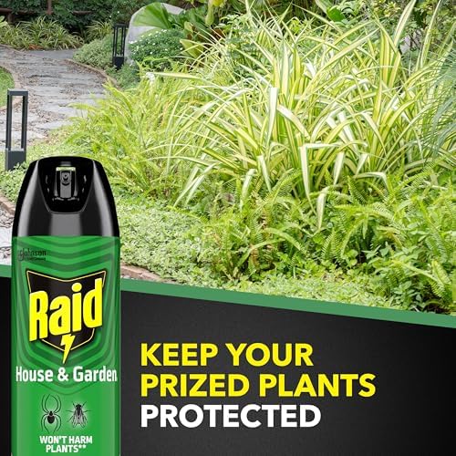 Raid House & Garden Insect Killer Bug Spray, Orange Breeze, 11 oz