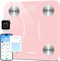 INSMART Smart Scale for Body Weight, 0.1lb High Accuracy,17 Metrics