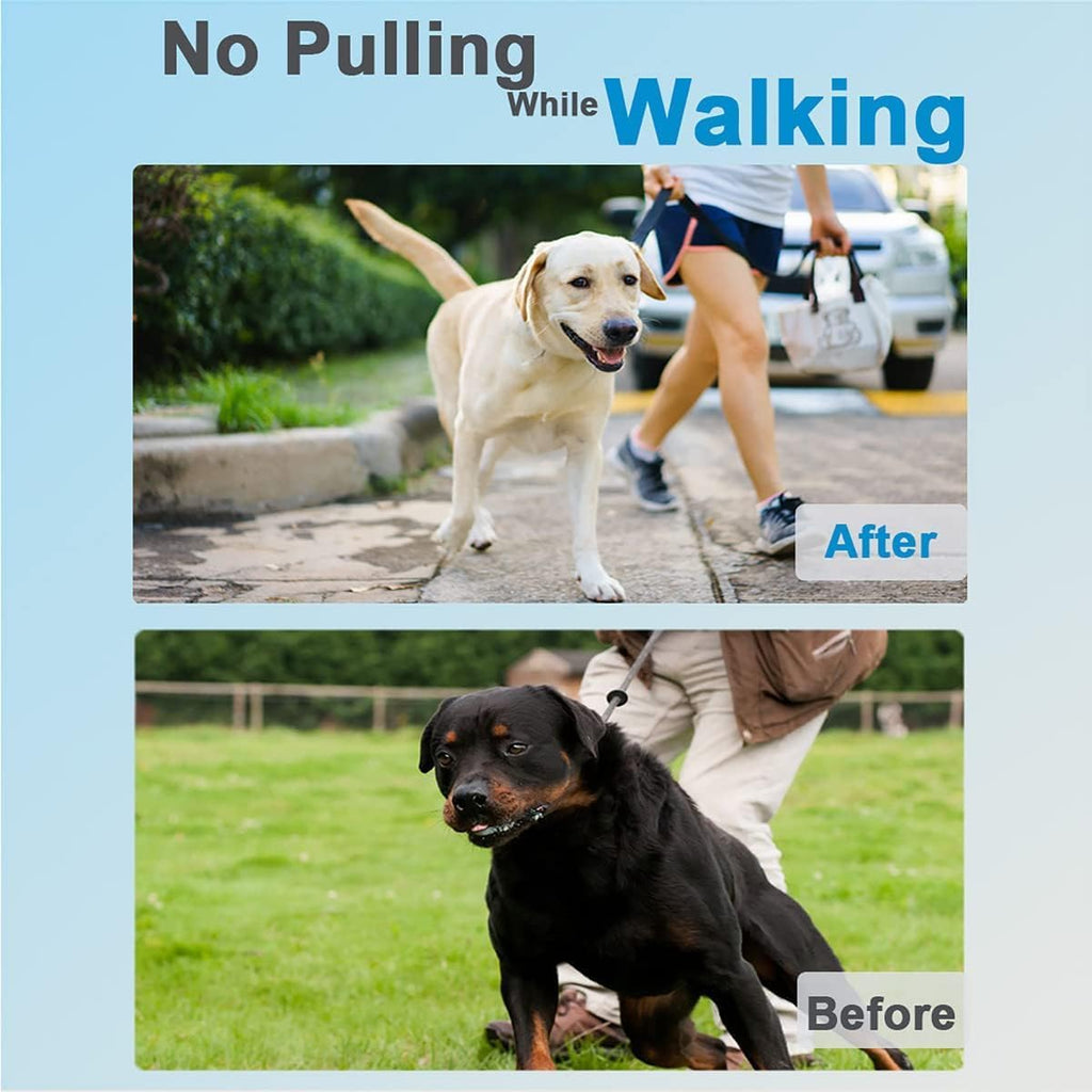 Prong Collar for Dogs, Dog Training Collar for Small Medium Large Dogs