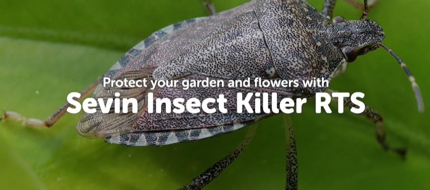 Sevin Insect Killer Spray, Ready-to-Use 2, 1 Gallon