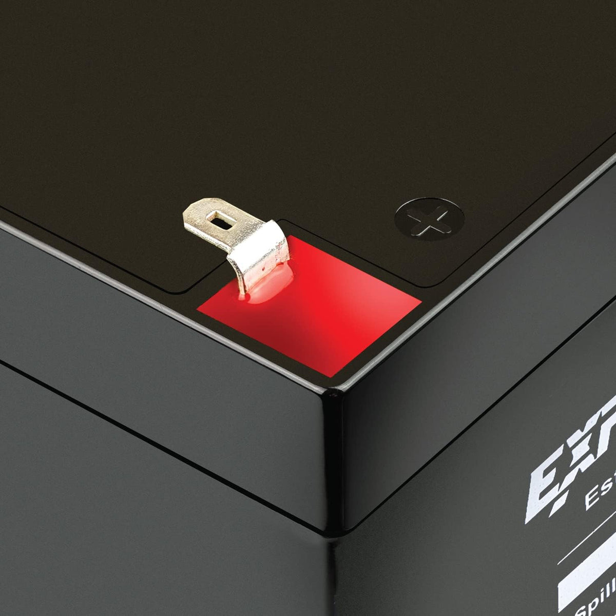 ExpertPower EXP1250, Rechargeable12V 5Ah UPS Battery with F1 Terminals