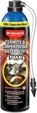 BioAdvanced Termite & Carpenter Bee Killer Plus Foam - 18 oz Can