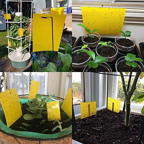 Kensizer 20-Pack Fruit Fly Trap, Yellow Sticky Gnat Traps, 6x8 in