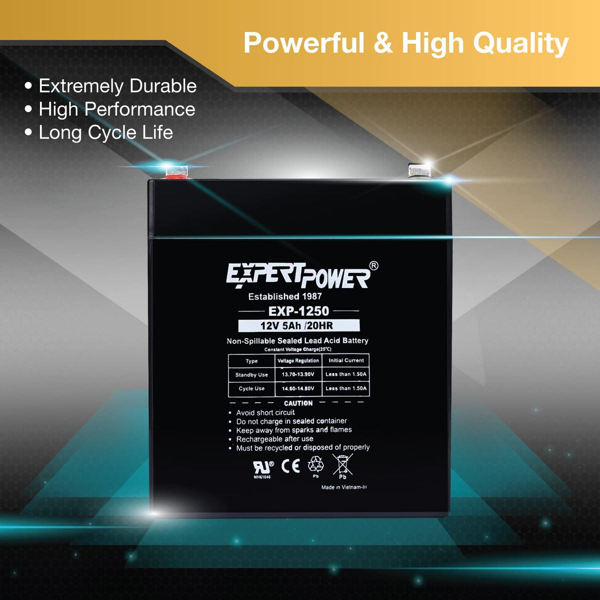 ExpertPower EXP1250, Rechargeable12V 5Ah UPS Battery with F1 Terminals