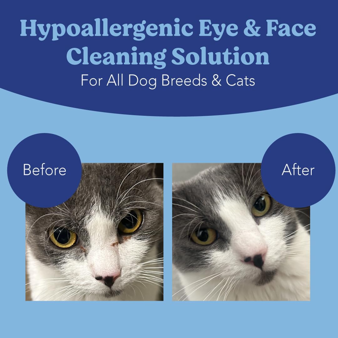 Angels' Eyes Dog & Cat Tear Stain Wipes | Eye Stain Remover Pads 100ct