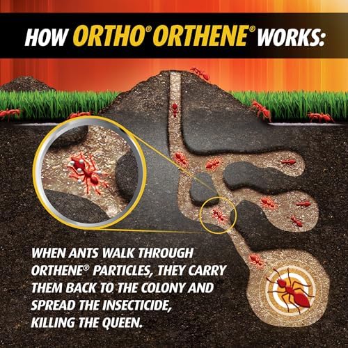 Ortho Orthene Fire Ant Killer1, 14 oz