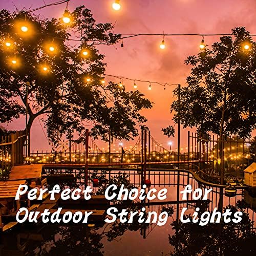 ADIIL Q Hanger Ceiling Screw Hooks for Hanging Outdoor String Light, Plants