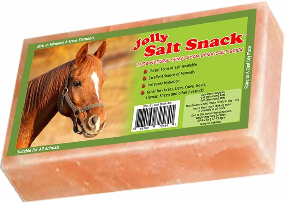 Horsemen's Pride Himalayan Salt Block on Rope for Horses, 2.2 Pounds, SS22