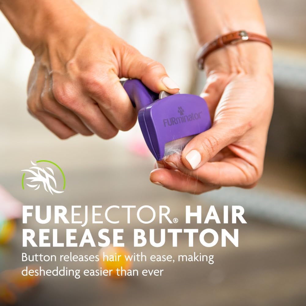 FURminator Medium to Large Cat deShedding Tool for Short Hair