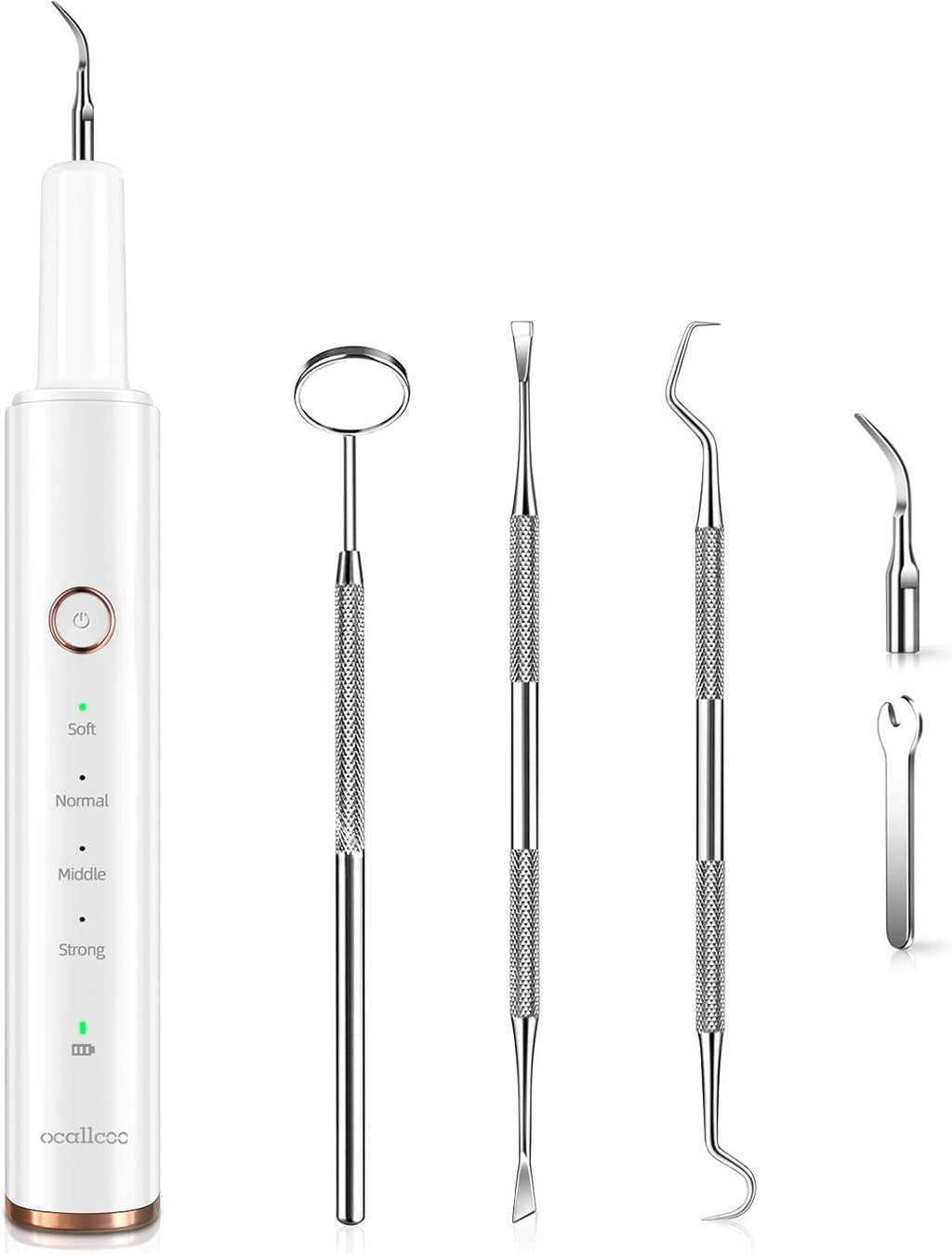 Plaque Remover for Teeth, Electric Tartar Remover for Teeth with LED Light,4 Modes Rechargeable