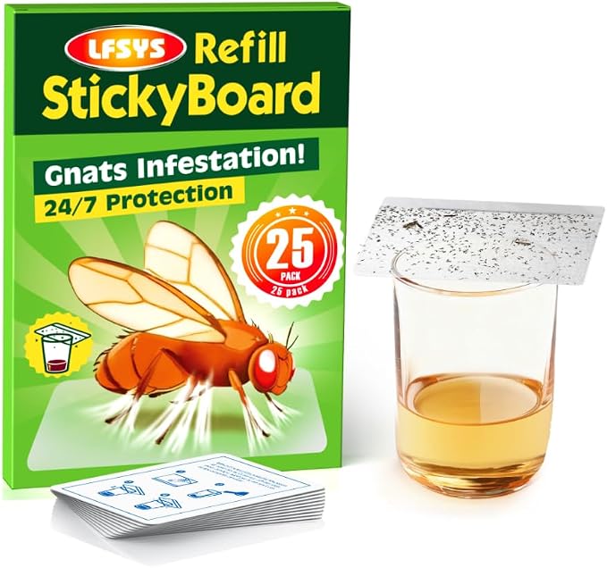 LFSYS Fruit Fly Traps for Indoors – 25 Pack DIY Cup Cover Adhesive Cards for Fruit Fly – Clear, Mess-Free, Indoor Use
