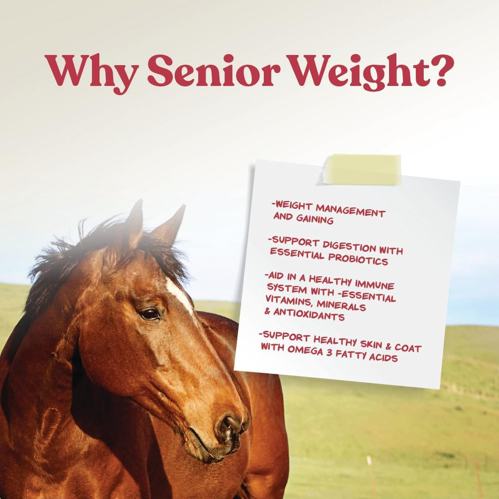 Manna Pro Weight Accelerator Horse Supplement, Meal Topper, Omega-3, 8 lb