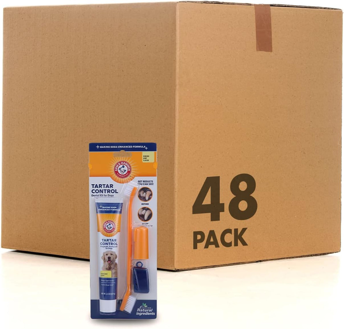 Arm & Hammer Tartar Control Dog Dental Kit, Beef Flavor, 3-Piece