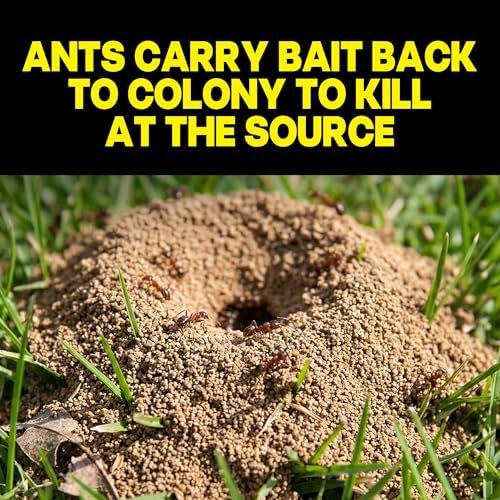 Raid MAX Liquid Ant Killer Baits, Indoor & Outdoor Use, 8 Count