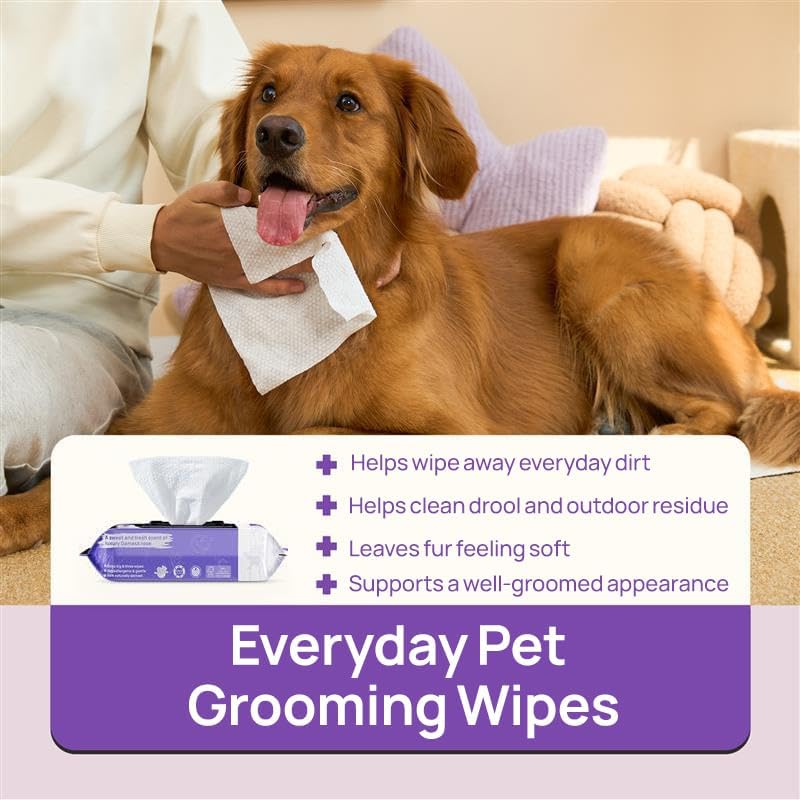 HICC PET Pet Cleaning Wipes for Dogs & Cats, Paws & Coat, 100 Count