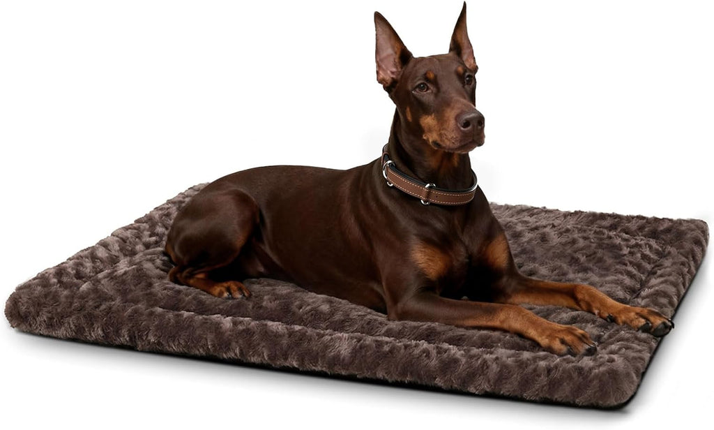 Exsnugy Washable Dog Bed Mat Medium Size Fluffy Pet Crate Pad 36x23