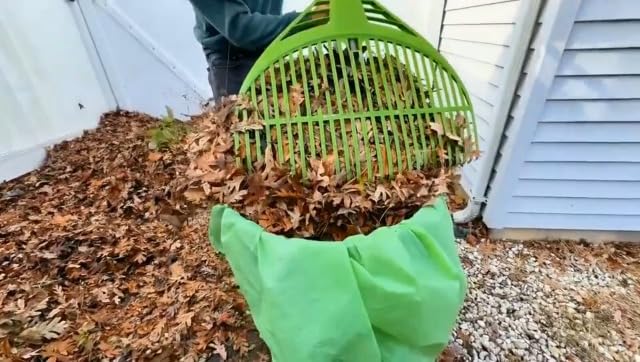 SUPERBIO 64 Gallon Compostable Yard Waste Bags
