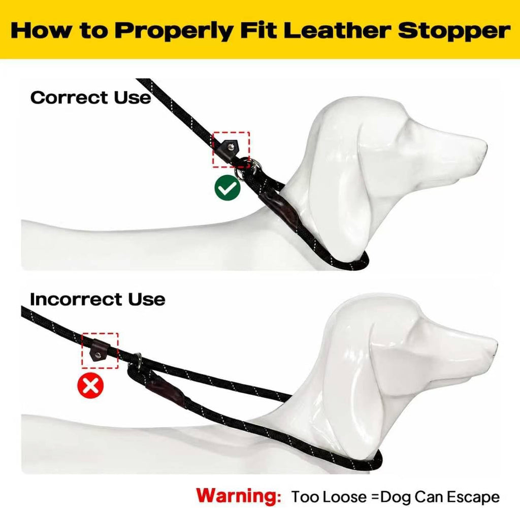 Fida Durable Slip Lead Dog Leash, 6 FT x 1/2" Dog Training Leash, Black