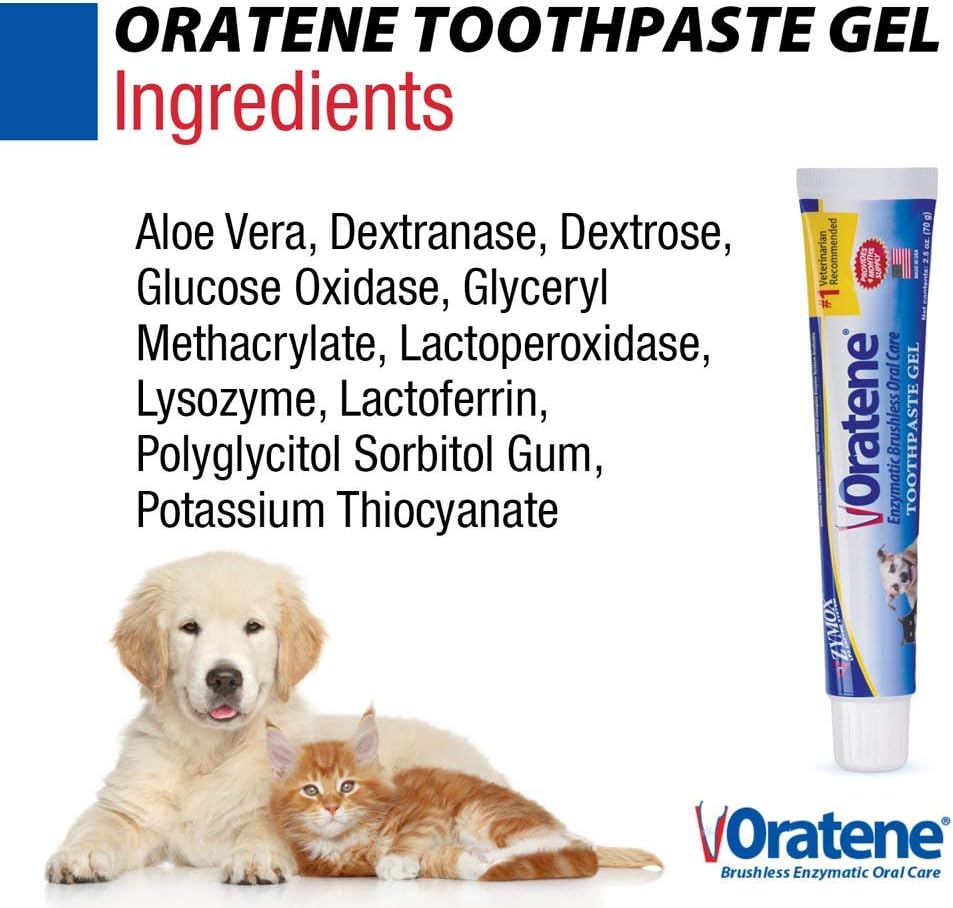 Pet King Brands ZYMOX Oratene Brushless Toothpaste Gel for Dogs and Cats, 2.5oz