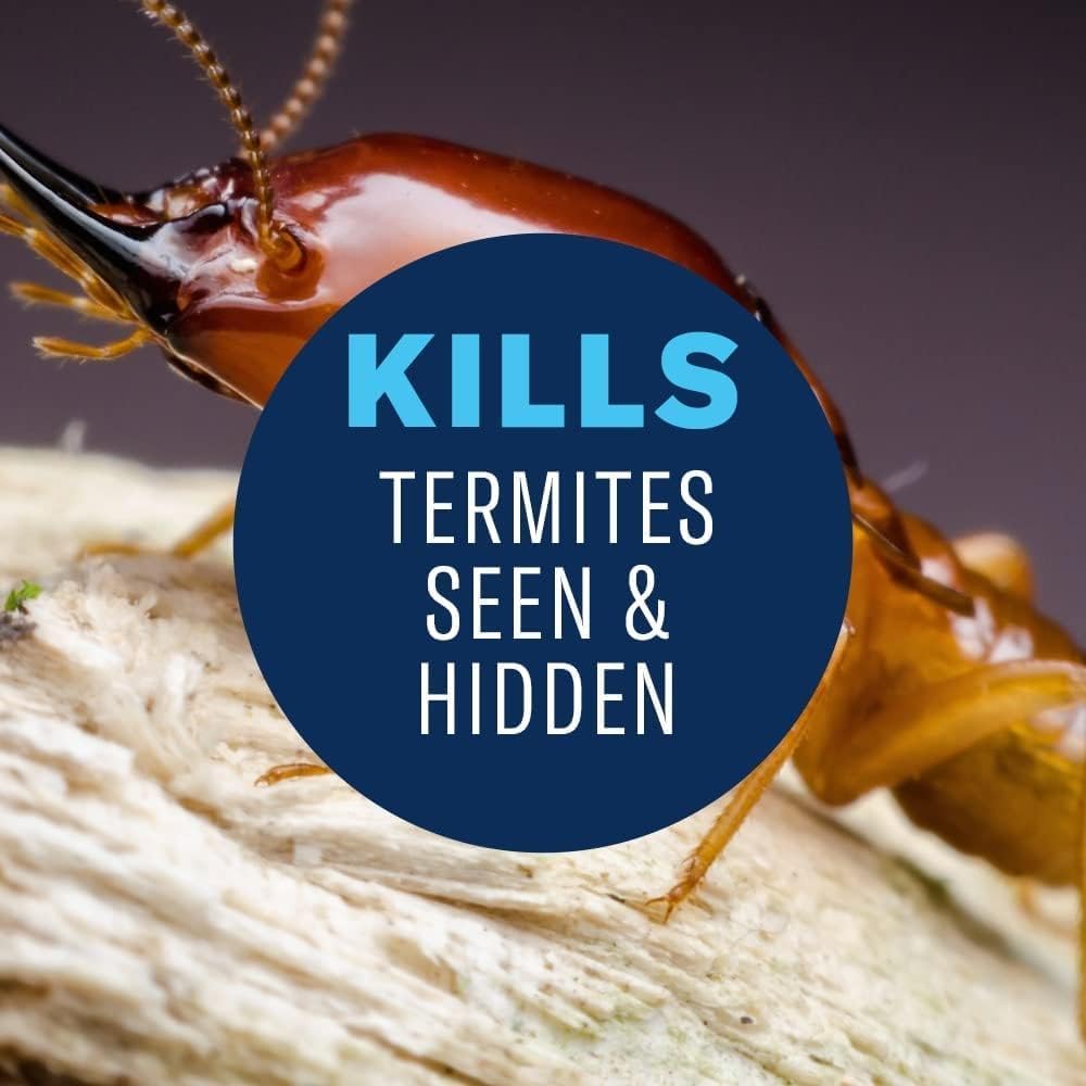BioAdvanced Termite & Carpenter Bee Killer Plus Foam - 18 oz Can