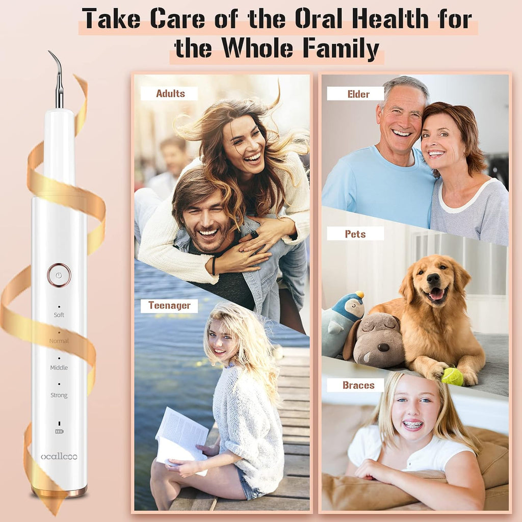 Plaque Remover for Teeth, Electric Tartar Remover for Teeth with LED Light,4 Modes Rechargeable