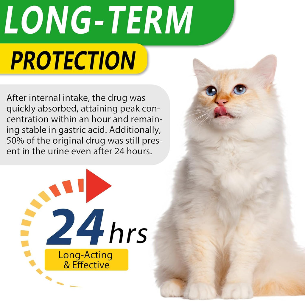 Antibiotics for Cats, Natural Antibiotic Pet Supplements Supports Immune & Cats Allergy Relief, Cat Multivitamin UTI Drops for All Ages & Breeds of Cat, Chicken Flavour - 2 Fl Oz / 1 Pack
