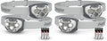 Energizer LED Headlamp PRO (2-Pack), IPX4 Water Resistant Head Light