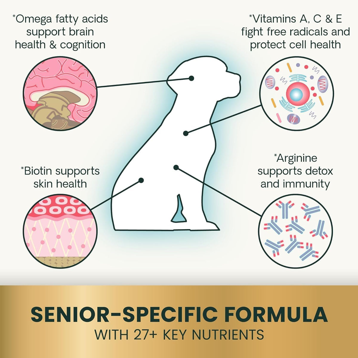 VetriScience Senior 27+ Multivitamin for Senior Dogs, Veggie, 60 Count